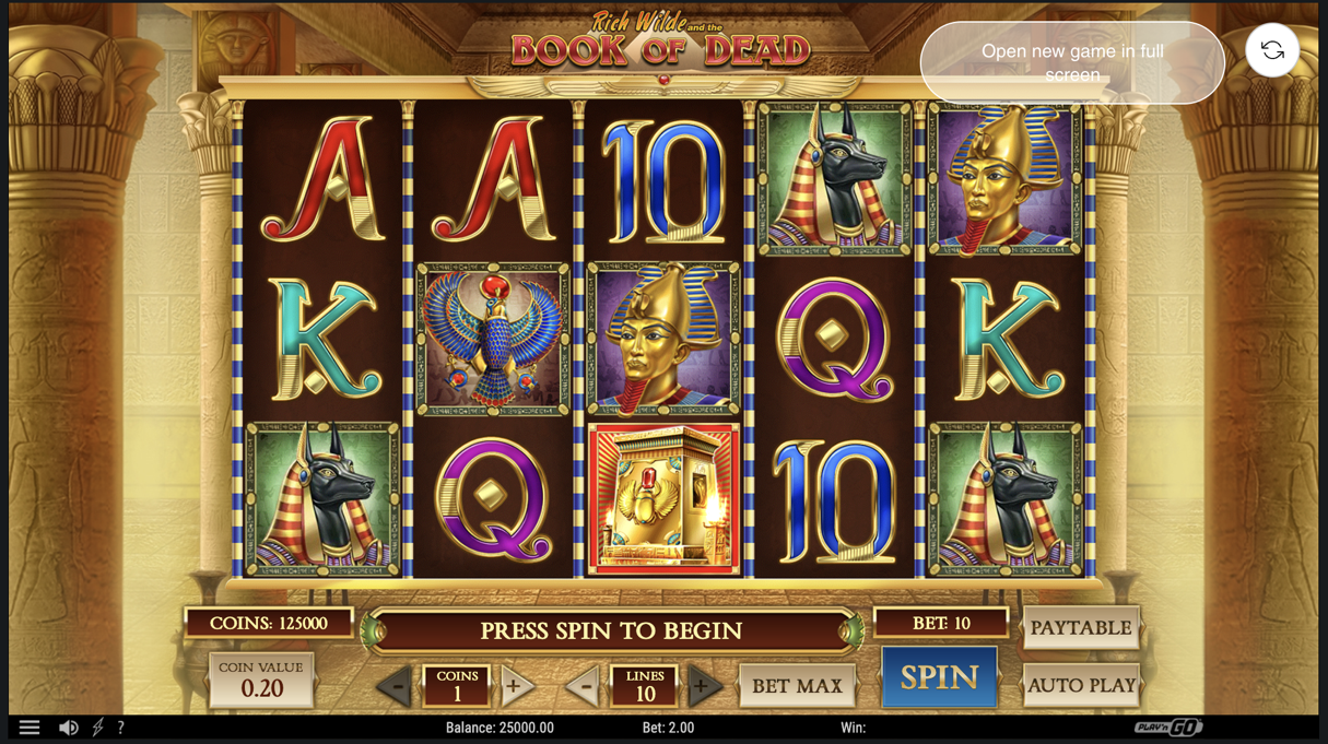 Book of dead Slot